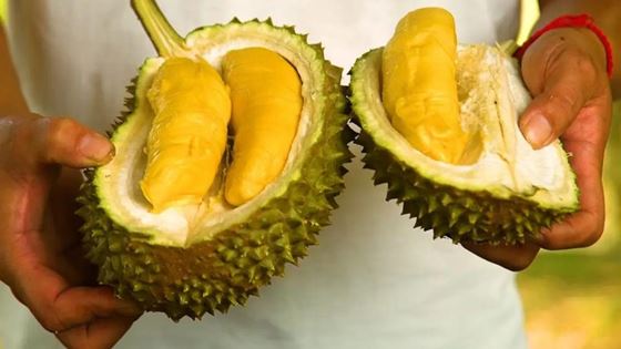 À la découverte top 10 des meilleurs fruits à Bali Indonésie