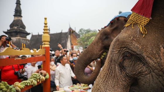 Combien coûte un voyage au Laos ? Budget voyage Laos