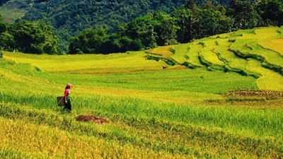 Itinéraire Pu Luong Vietnam 3 jours - Avis de la famille Bernard