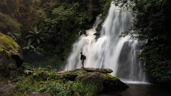 Avis du circuit nature en Thaïlande avec guide francophone