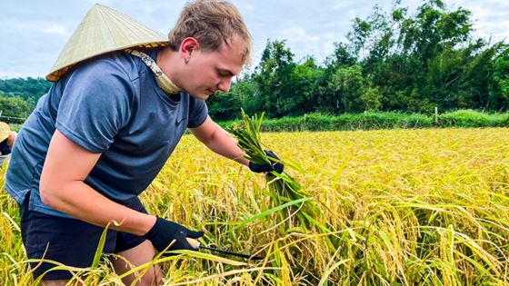 Agrotourisme à Ha Giang - Meilleures activités agricoles à participer