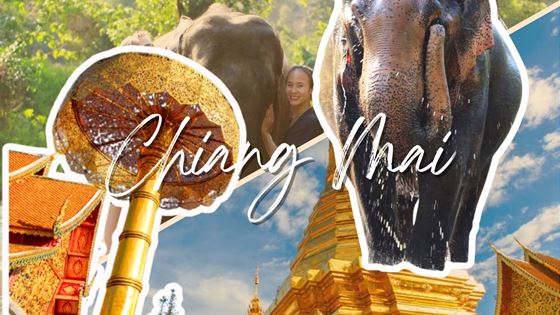Que faire à Doi Suthep et au Elephant Sanctuary à Chiang Mai ?
