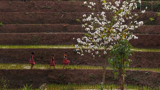 Tout savoir sur le voyage à Mai Chau