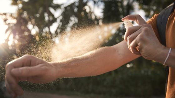 Moustiques à Bali - comment éviter la dengue à Bali ?