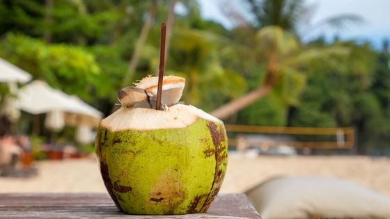 À la découverte top 10 des meilleurs fruits de Thaïlande