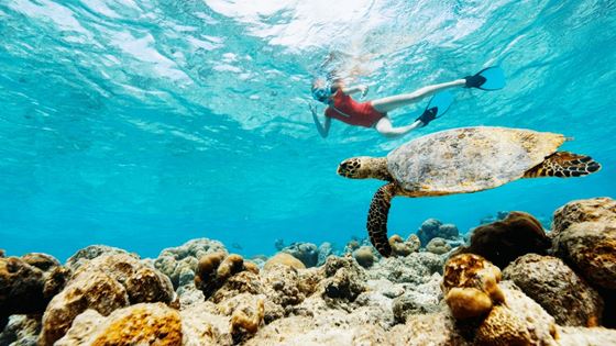 Où faire du snorkeling en Thaïlande ?