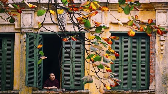 Quand partir à Hanoï ? Meilleure période pour visiter Hanoï