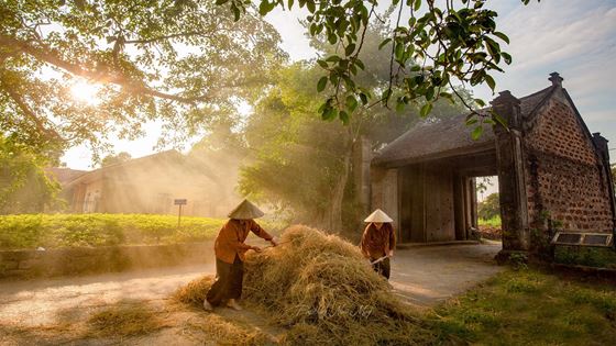 Visite 1 jour au village ancien Duong Lam - Que faire et que voir ?
