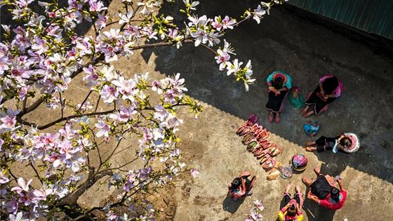 Les plus beaux festivals au Vietnam après le Têt
