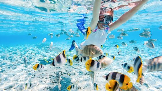 Meilleure période pour le snorkeling au Cambodge