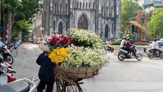 Que faire au Vietnam ? Explorez les incontournables au Vietnam
