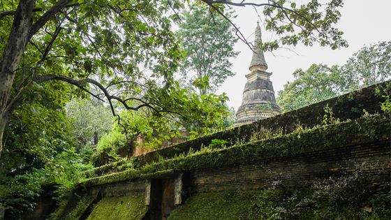 Top 06 des plus beaux temples à visiter à Chiang Mai