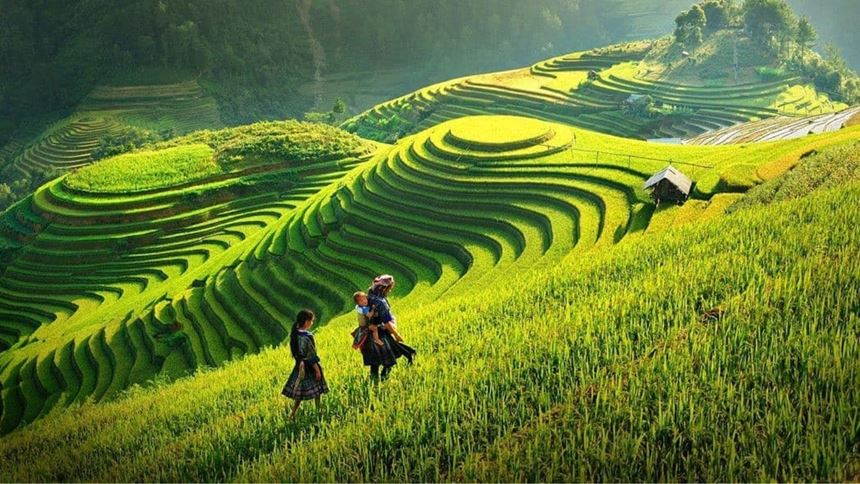15 jours au Vietnam en Août avec point de vue de la famille Sophia
