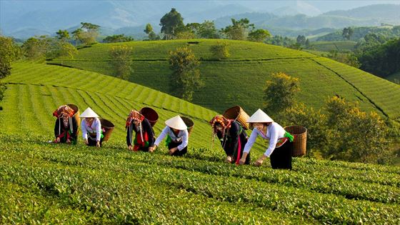 15 jours au Vietnam en Mai - Voyage Vietnam en famille de Charlet