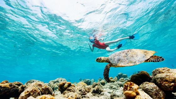Combien coûte une sortie snorkeling à Bali en Indonésie ?