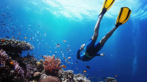 Quelle est la meilleure période pour faire du snorkeling à Bali ?