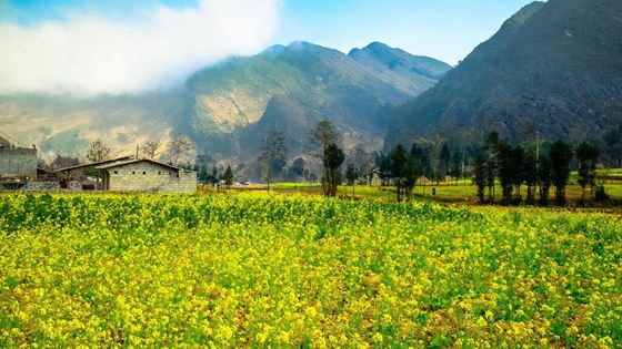 Où dormir à Ha Giang ? Top 6 hôtels pas chers 3 étoiles à Ha Giang