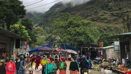 Quels sont les marchés forains à visiter à Ha Giang ?