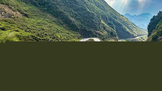 Quand partir à Ha Giang ? Meilleure période pour visiter Ha Giang