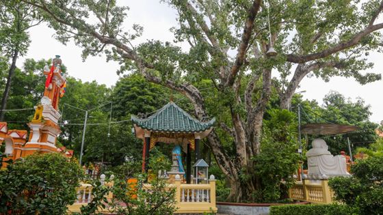 Top des meilleurs temples à Saigon pour un voyage spirituel