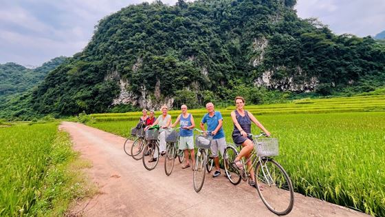 Quelle est la meilleure période pour visiter le Vietnam ? 