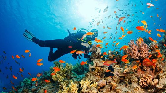 Où faire du snorkeling lors du voyage - Vietnam ou Bali Indonésie ?