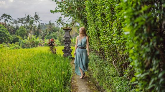 Que faire à Bali ? Meilleures activités agricoles à participer à Bali